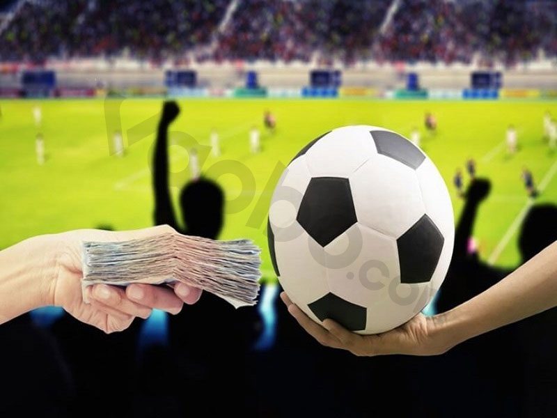Chiến thuật đánh kèo underdog có thực sự hiệu quả?